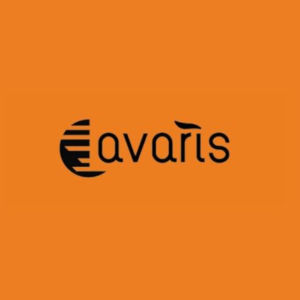 Λογότυπο από Avaris eBikes