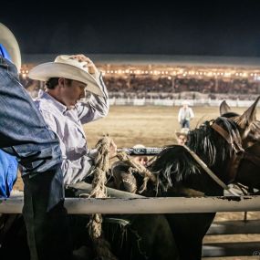 Bild von Prescott Frontier Days, Inc. - World's Oldest Rodeo