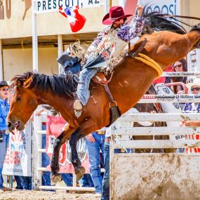 Bild von Prescott Frontier Days, Inc. - World's Oldest Rodeo