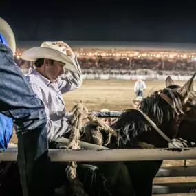 Bild von Prescott Frontier Days, Inc. - World's Oldest Rodeo