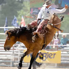 Bild von Prescott Frontier Days, Inc. - World's Oldest Rodeo