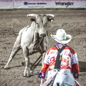 Bild von Prescott Frontier Days, Inc. - World's Oldest Rodeo