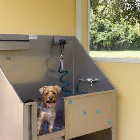 No need to dirty up your bathtub. Visit our dog grooming station near the dog park at Camden Montague apartments in Tampa, Florida.
