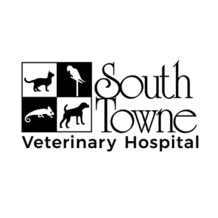 Logo da South Towne Veterinary Hospital
