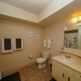 Liberty Mills Apartments Bathroom