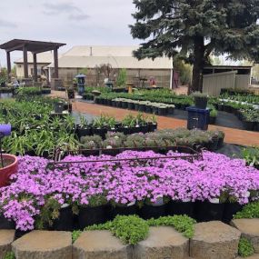 Flowers, landscaping supplies and more!