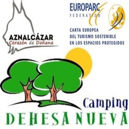 Logotipo de Camping Dehesa Nueva