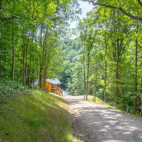 Bild von Buffalo Cabins and Lodges