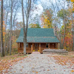 Bild von Buffalo Cabins and Lodges