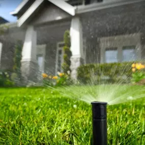 Bild von Conserva Irrigation of Hampton Roads