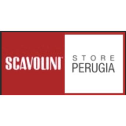 Logotipo de Scavolini Store Perugia