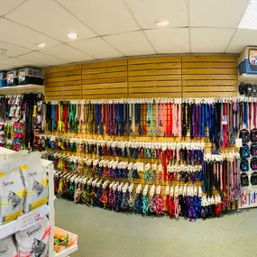 Pets Corner Gosport Interior