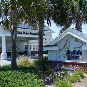 Welcome to VCA Buffalo Ridge Animal Hospital!