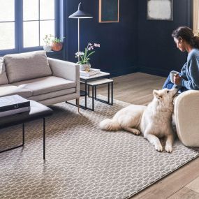 Bild von Barnett Carpets