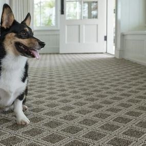 Bild von Barnett Carpets