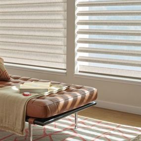 Hunter Douglas Pirouette Window Shadings