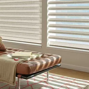 Hunter Douglas Pirouette Window Shadings