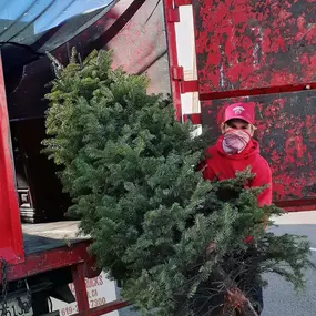 Call Junk King for your free Christmas tree removal with a scheduled junk removal job! Junk King removes and recycles your Christmas tree  so you don't have to worry about a thing! Our junk removal process will be quick and efficient, leaving no mess behind.