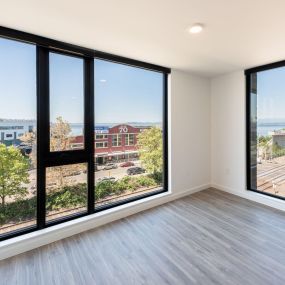 Large Windows With Views in Living Spaces
