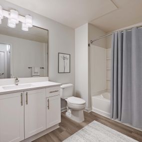 Bathroom with soaking tub and modern finishes