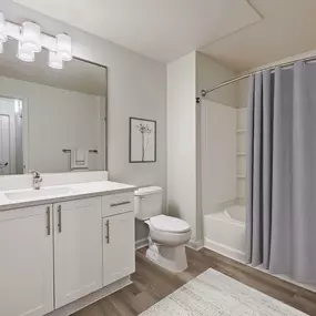 Bathroom with soaking tub and modern finishes