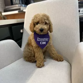 We remodel homes, he remodels hearts!