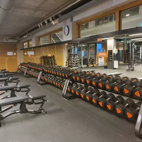 Basic-Fit Rotterdam Jan Ligthartstraat - free weight zone