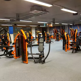 Basic-Fit Rotterdam Jan Ligthartstraat - strength zone