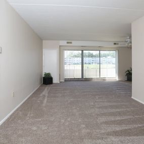 Spacious Living Room