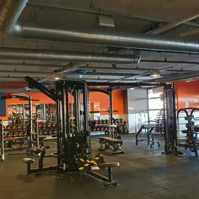 Basic-Fit Rotterdam Rijksboom - free weight zone