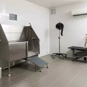 Pet friendly community dog spa