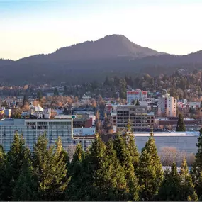 Bild von The Patterson Social Apartments