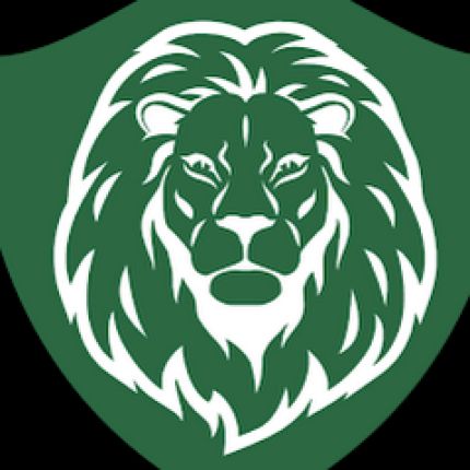 Logo from Lion Garage Door Repair & Installation