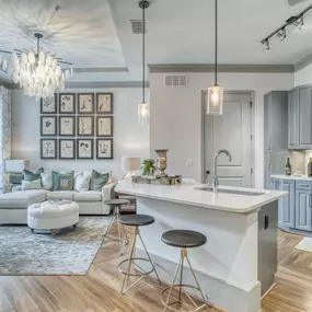 Living Room and Kitchen