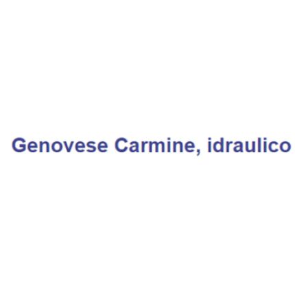 Logo von Idraulico Genovese Carmine
