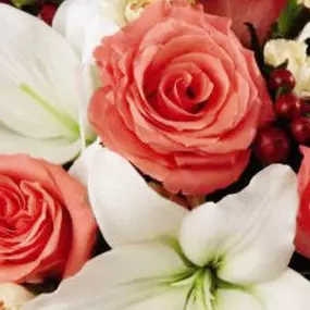 Bild von Flowers On Main