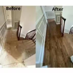 Bild von South River Flooring