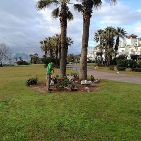 Jardineria_Algeciras_Mantenimiento_Piscinas_Acs_Jardineros_2.jpg