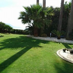 Jardineria_Algeciras_Mantenimiento_Piscinas_Acs_Jardineros_10.jpg