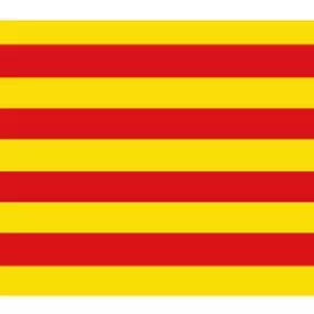 Servicio de traducción en Valencia