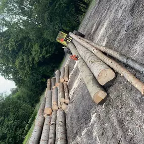 Vizovická lesní s.r.o.