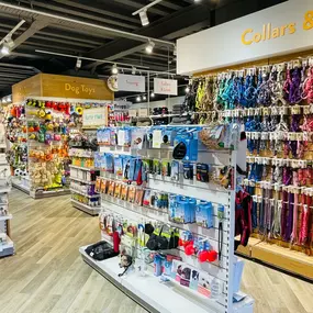 Pets Corner Ferndown Interior