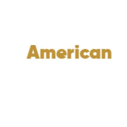 Logotipo de All American Investigations & Security Services
