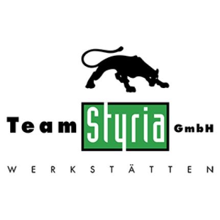 Logotipo de Team Styria Werkstätten GmbH