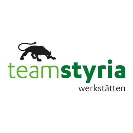 Λογότυπο από Team Styria Werkstätten GmbH