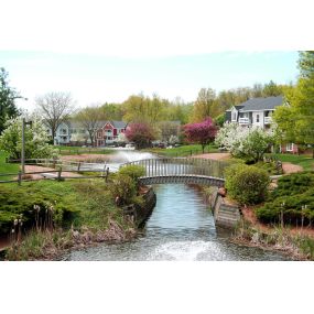 Community Lake and Walking Paths