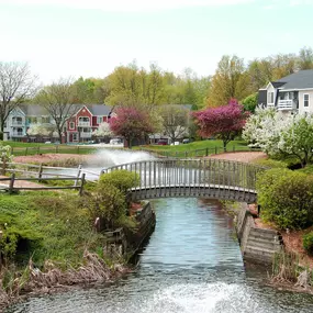 Community Lake and Walking Paths