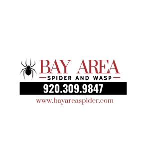 Bild von Bay Area Spider and Wasp