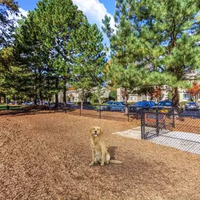 Off leash gated dog park