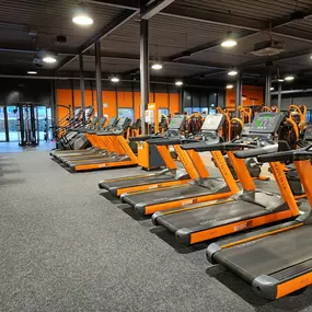 Basic-Fit Roermond Oranjelaan 24/7 - cardio